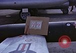 Immagine di Parachutist United States USA, 1953, secondo 4 filmato di repertorio 65675032455
