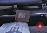 Immagine di Parachutist United States USA, 1953, secondo 5 filmato di repertorio 65675032455