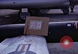 Immagine di Parachutist United States USA, 1953, secondo 11 filmato di repertorio 65675032455