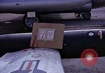 Immagine di Parachutist United States USA, 1953, secondo 24 filmato di repertorio 65675032455