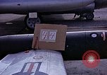 Immagine di Parachutist United States USA, 1953, secondo 27 filmato di repertorio 65675032455