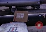 Immagine di Parachutist United States USA, 1953, secondo 31 filmato di repertorio 65675032455