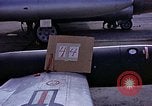 Immagine di Parachutist United States USA, 1953, secondo 32 filmato di repertorio 65675032455