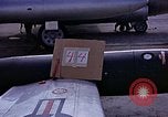 Immagine di Parachutist United States USA, 1953, secondo 33 filmato di repertorio 65675032455