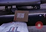 Immagine di Parachutist United States USA, 1953, secondo 34 filmato di repertorio 65675032455