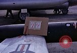 Immagine di Parachutist United States USA, 1953, secondo 35 filmato di repertorio 65675032455