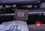 Immagine di Parachutist United States USA, 1953, secondo 36 filmato di repertorio 65675032455