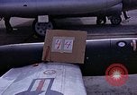 Immagine di Parachutist United States USA, 1953, secondo 37 filmato di repertorio 65675032455