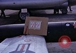 Immagine di Parachutist United States USA, 1953, secondo 38 filmato di repertorio 65675032455