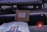 Immagine di Parachutist United States USA, 1953, secondo 39 filmato di repertorio 65675032455