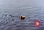 Immagine di Parachutist United States USA, 1953, secondo 24 filmato di repertorio 65675032458