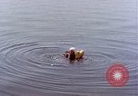 Immagine di Parachutist United States USA, 1953, secondo 25 filmato di repertorio 65675032458