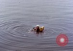 Immagine di Parachutist United States USA, 1953, secondo 26 filmato di repertorio 65675032458