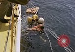 Immagine di Parachutist United States USA, 1953, secondo 32 filmato di repertorio 65675032458