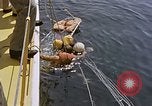 Immagine di Parachutist United States USA, 1953, secondo 33 filmato di repertorio 65675032458