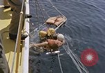 Immagine di Parachutist United States USA, 1953, secondo 34 filmato di repertorio 65675032458