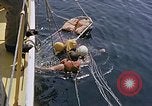 Immagine di Parachutist United States USA, 1953, secondo 35 filmato di repertorio 65675032458