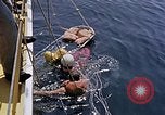 Immagine di Parachutist United States USA, 1953, secondo 37 filmato di repertorio 65675032458