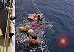 Immagine di Parachutist United States USA, 1953, secondo 38 filmato di repertorio 65675032458