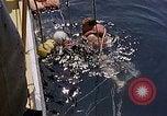 Immagine di Parachutist United States USA, 1953, secondo 40 filmato di repertorio 65675032458