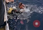 Immagine di Parachutist United States USA, 1953, secondo 41 filmato di repertorio 65675032458
