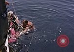 Immagine di Parachutist United States USA, 1953, secondo 47 filmato di repertorio 65675032458
