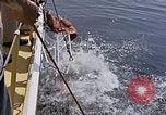 Immagine di Parachutist United States USA, 1953, secondo 51 filmato di repertorio 65675032458