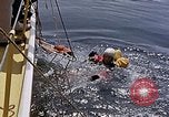 Immagine di Parachutist United States USA, 1953, secondo 53 filmato di repertorio 65675032458