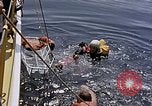 Immagine di Parachutist United States USA, 1953, secondo 55 filmato di repertorio 65675032458