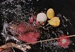 Immagine di Parachutist United States USA, 1953, secondo 59 filmato di repertorio 65675032458