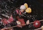 Immagine di Parachutist United States USA, 1953, secondo 60 filmato di repertorio 65675032458