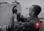 Image nephograph Orlando Florida McCoy Air Force Base USA, 1962, de la seconde 12 séquences d'archives historiques vidéo 65675032495