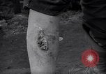 Image of Nazi concentration camp atrocities Germany, 1945, second 46 stock footage video 65675032522