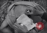 Image of Nazi concentration camp atrocities Germany, 1945, second 50 stock footage video 65675032522