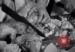 Image of Fat and oil recycling World War 2 Staten Island New York USA, 1945, second 31 stock footage video 65675032525