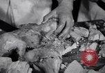 Image of Fat and oil recycling World War 2 Staten Island New York USA, 1945, second 32 stock footage video 65675032525