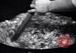 Image of Fat and oil recycling World War 2 Staten Island New York USA, 1945, second 39 stock footage video 65675032525