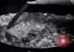 Image of Fat and oil recycling World War 2 Staten Island New York USA, 1945, second 40 stock footage video 65675032525