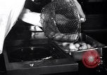 Image of Fat and oil recycling World War 2 Staten Island New York USA, 1945, second 45 stock footage video 65675032525