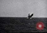 Image of Battle of Okinawa Kamikaze attacks Okinawa Ryukyu Islands, 1945, second 36 stock footage video 65675032528