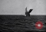 Image of Battle of Okinawa Kamikaze attacks Okinawa Ryukyu Islands, 1945, second 37 stock footage video 65675032528