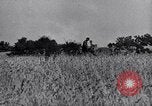 Standbild Eamon de Valera und unabhängigen Eire Shannon Irland, 1946, aus Sekunde 57 historischem Filmmaterial Videoclip 65675032534