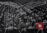 Image of Harry S Truman San Francisco California USA, 1945, second 14 stock footage video 65675032540