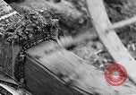 Image of Barty O'Brien Ireland, 1948, second 1 stock footage video 65675032542