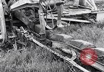 Image of Barty O'Brien Ireland, 1948, second 4 stock footage video 65675032542
