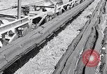 Image of Barty O'Brien Ireland, 1948, second 10 stock footage video 65675032542
