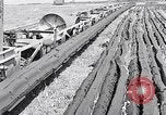 Image of Barty O'Brien Ireland, 1948, second 11 stock footage video 65675032542
