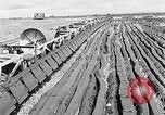 Image of Barty O'Brien Ireland, 1948, second 12 stock footage video 65675032542
