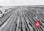 Image of Barty O'Brien Ireland, 1948, second 13 stock footage video 65675032542