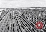 Image of Barty O'Brien Ireland, 1948, second 14 stock footage video 65675032542